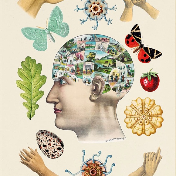 The Antiquarian Sticker Book (Over 1,000 Exquisite Victorian Stickers) - Picture 5 of 7